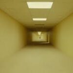 BACKROOMS